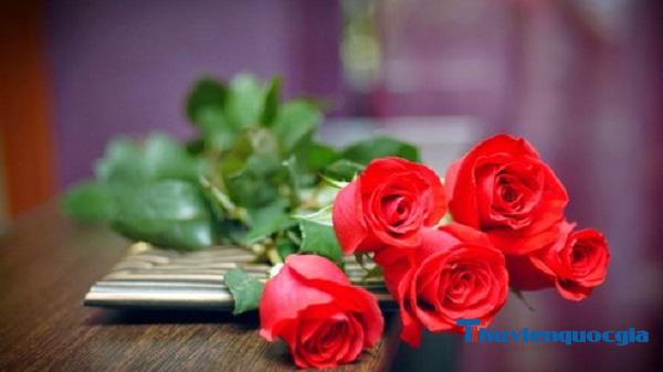 Hoa hồng là gì? Những loại hoa hồng phổ biến nhất ở Việt Nam