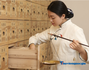 Các trường đào tạo ngành Trung cấp Y học cổ truyền uy tín
